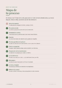 Diario de FIV y betaespera: mapa del proceso en 10 fases